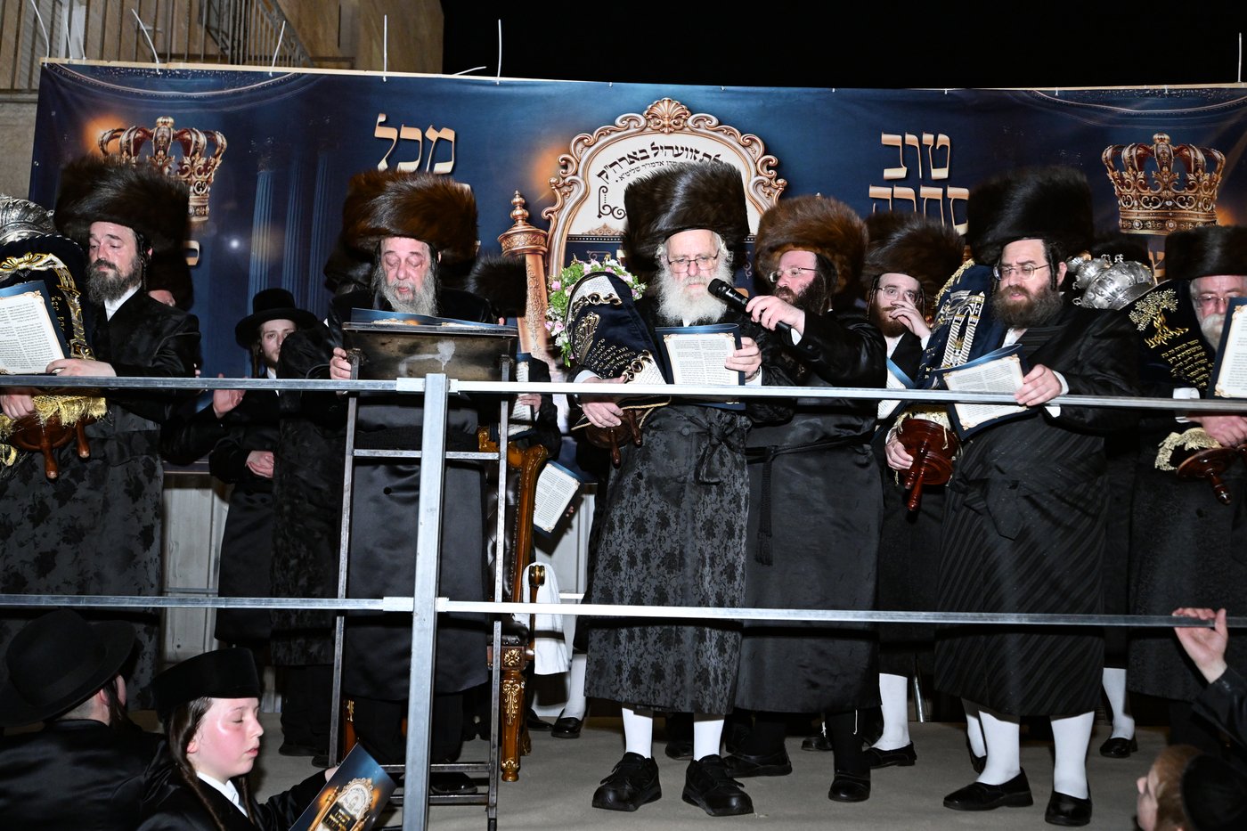 מעמד הכנסת ס"ת בזוועהיל