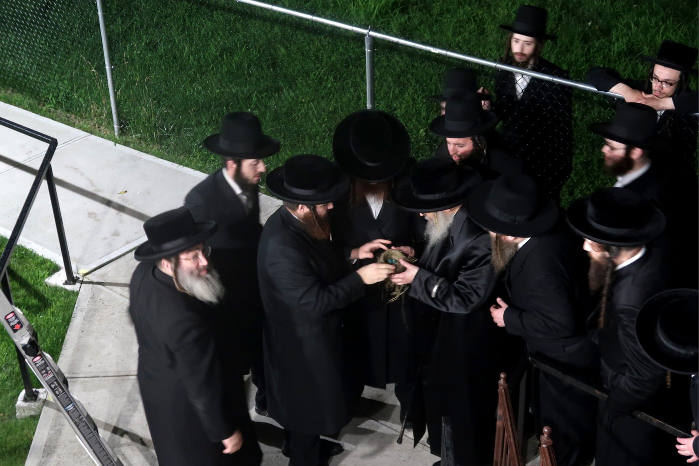האדמו"ר מסאטמר בשילוח הקן