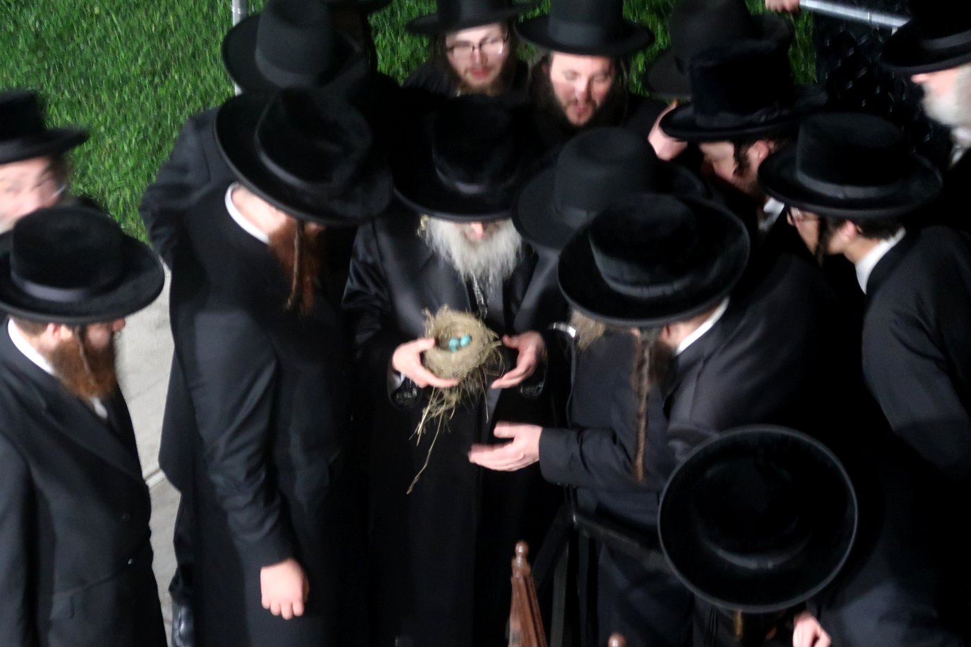 האדמו"ר מסאטמר בשילוח הקן