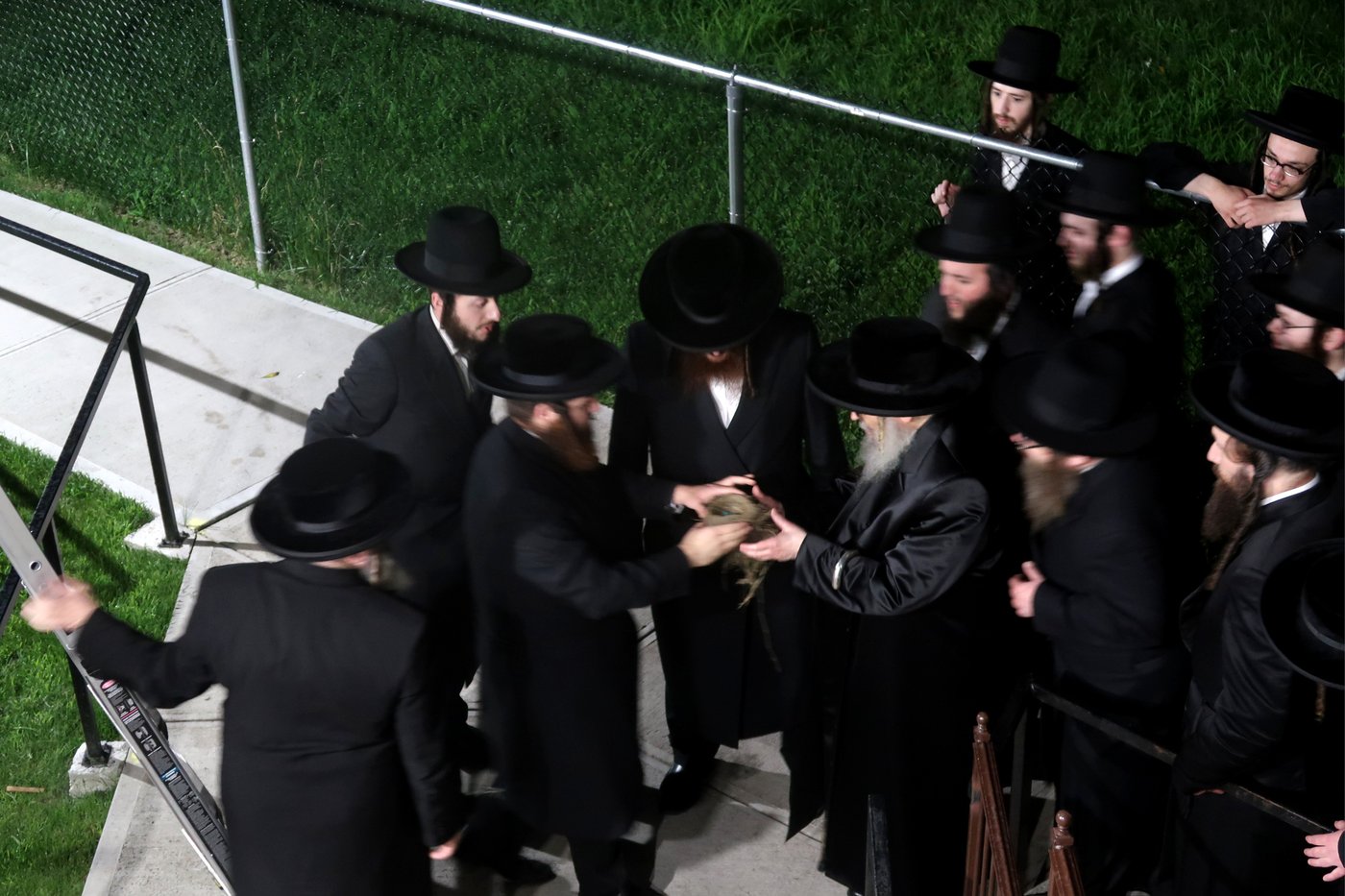 האדמו"ר מסאטמר בשילוח הקן