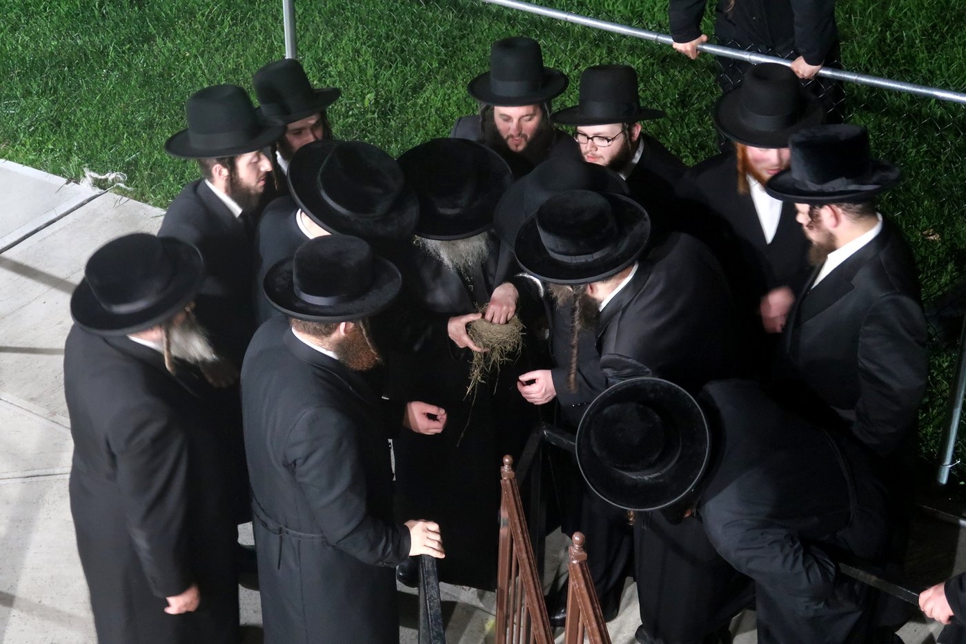 האדמו"ר מסאטמר בשילוח הקן