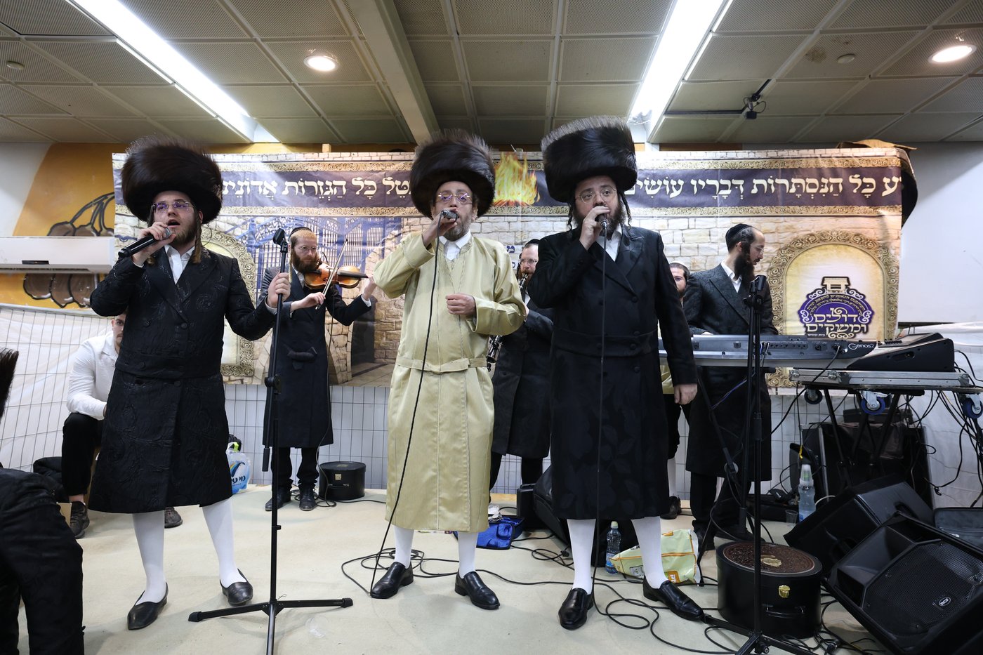 הרה"צ רבי אלימלך בידרמן במירון