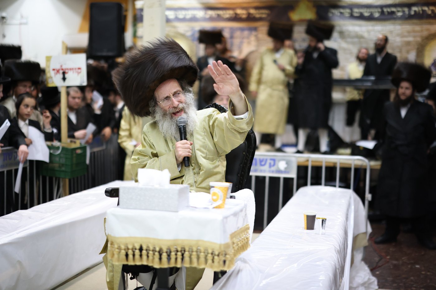 הרה"צ רבי אלימלך בידרמן במירון