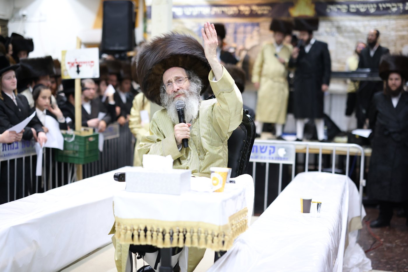 הרה"צ רבי אלימלך בידרמן במירון