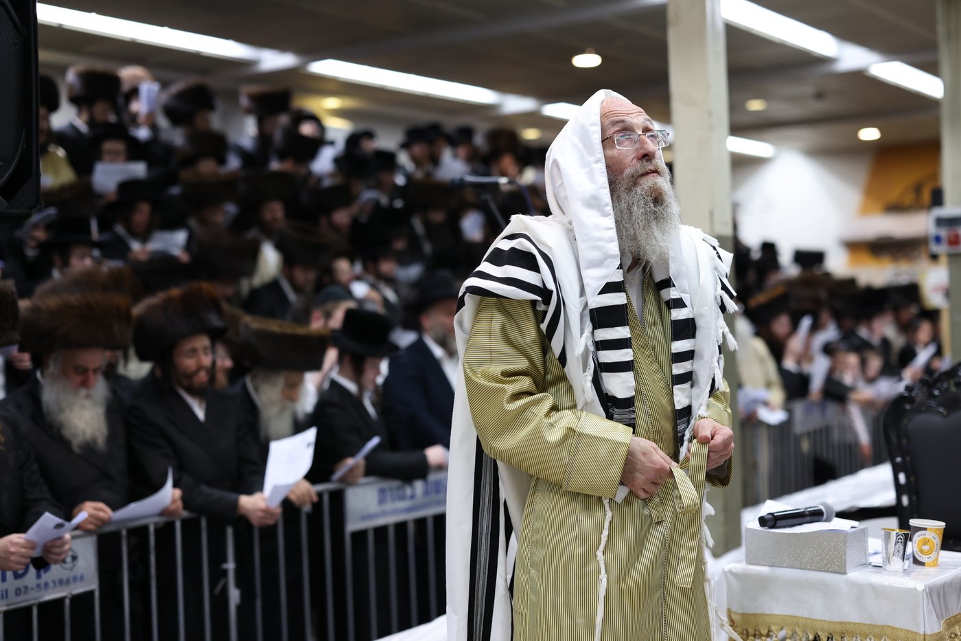 הרה"צ רבי אלימלך בידרמן במירון