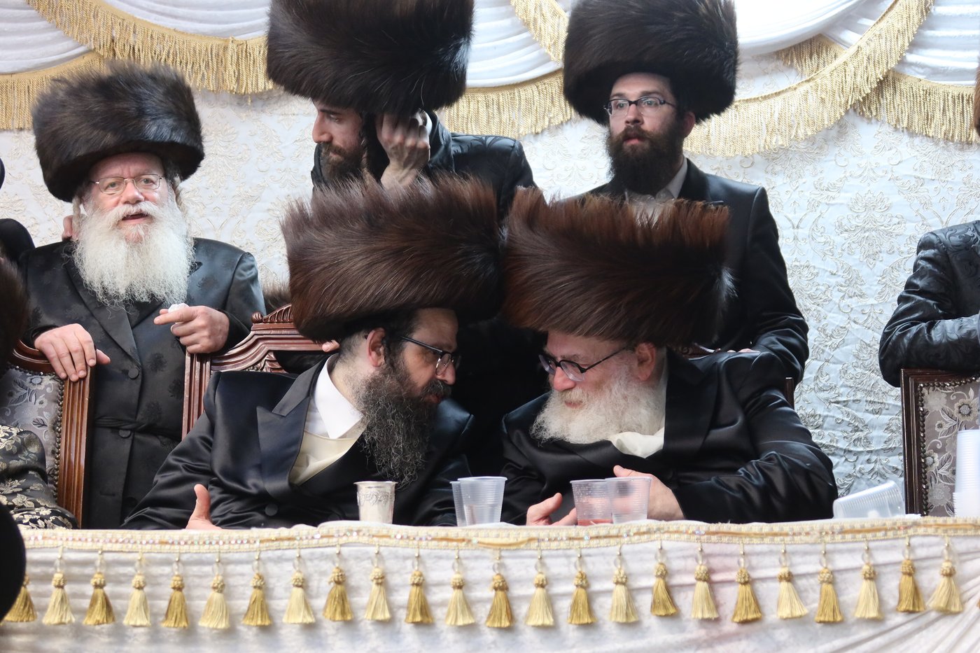  שמחת בית זוועהיל ארה"ב - מודז'יץ - האלמין