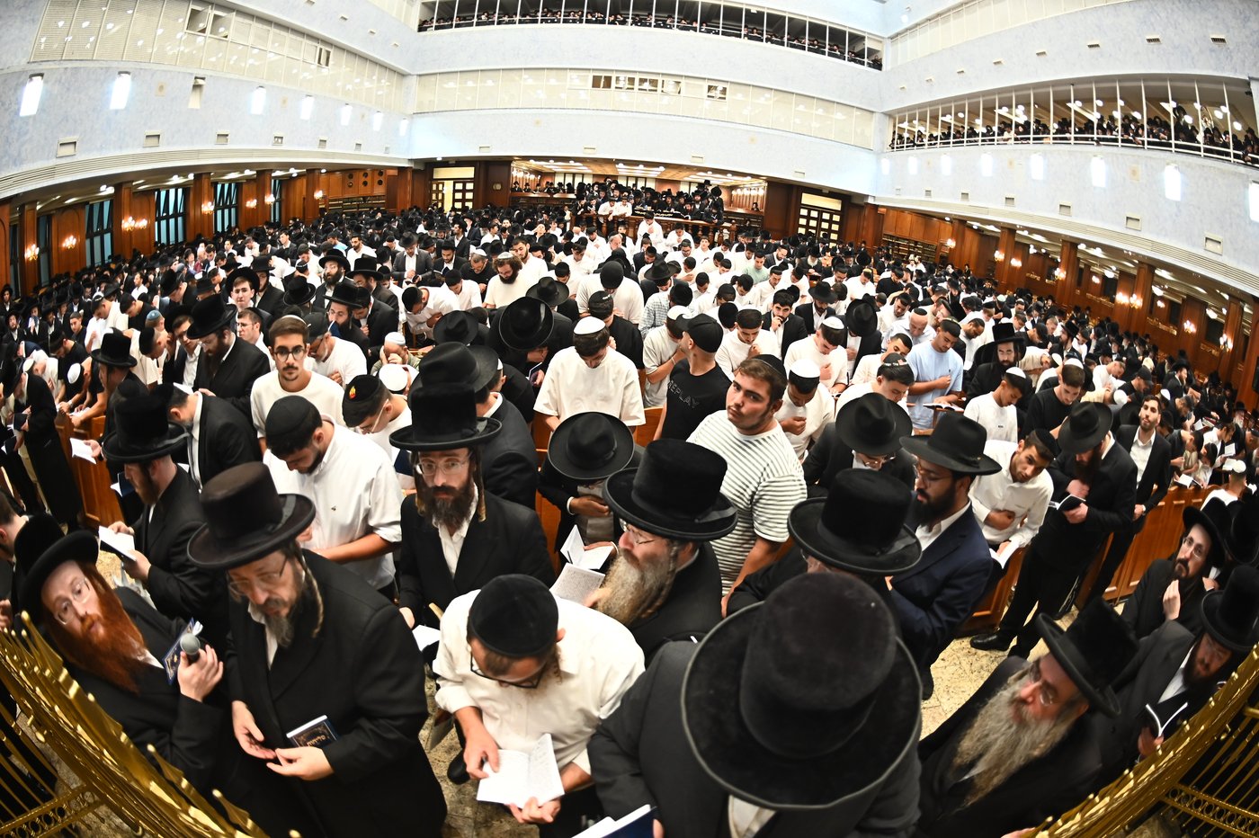 הגר"י יוסף והגרי"ד גרוסמן בסליחות בבעלזא