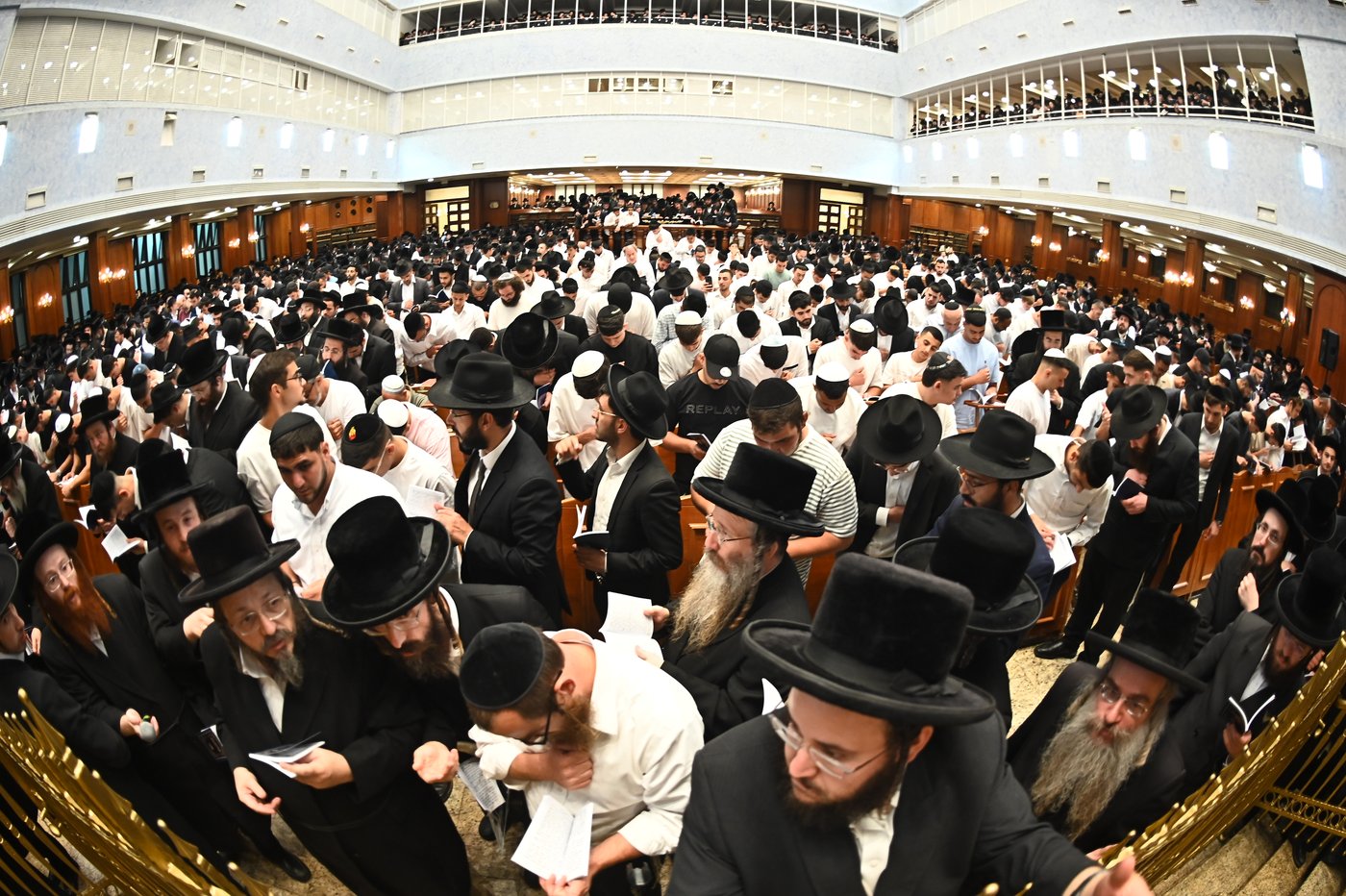 הגר"י יוסף והגרי"ד גרוסמן בסליחות בבעלזא