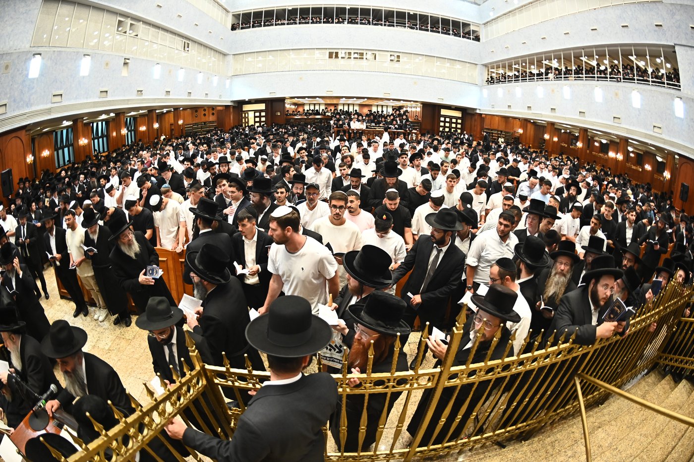 הגר"י יוסף והגרי"ד גרוסמן בסליחות בבעלזא
