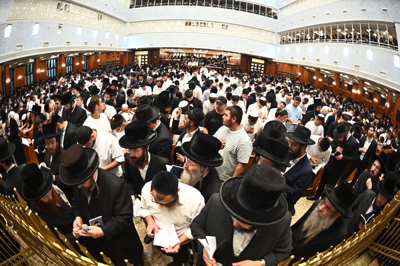 הגר"י יוסף והגרי"ד גרוסמן בסליחות בבעלזא