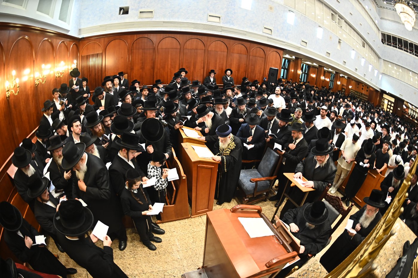 הגר"י יוסף והגרי"ד גרוסמן בסליחות בבעלזא