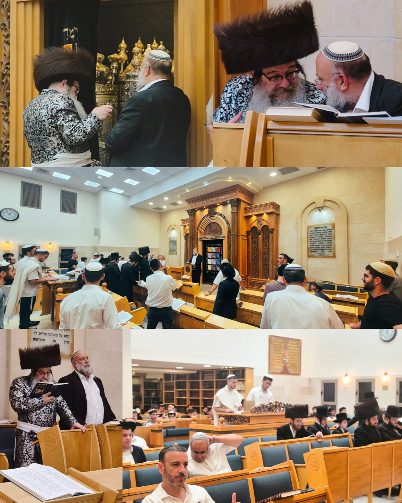 האדמו"ר מנדבורנה אלעד בסליחות