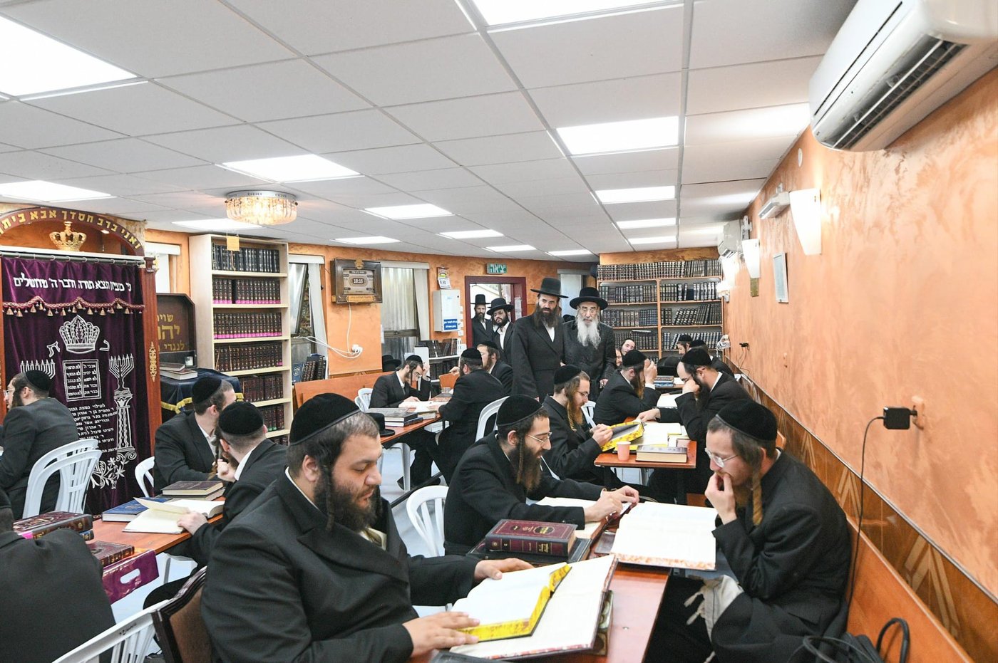 האדמו"ר מאלכסנדר בעמונאל