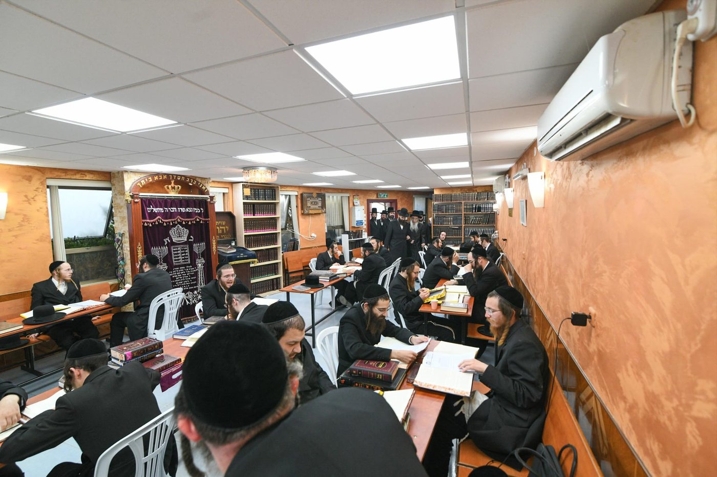 האדמו"ר מאלכסנדר בעמונאל