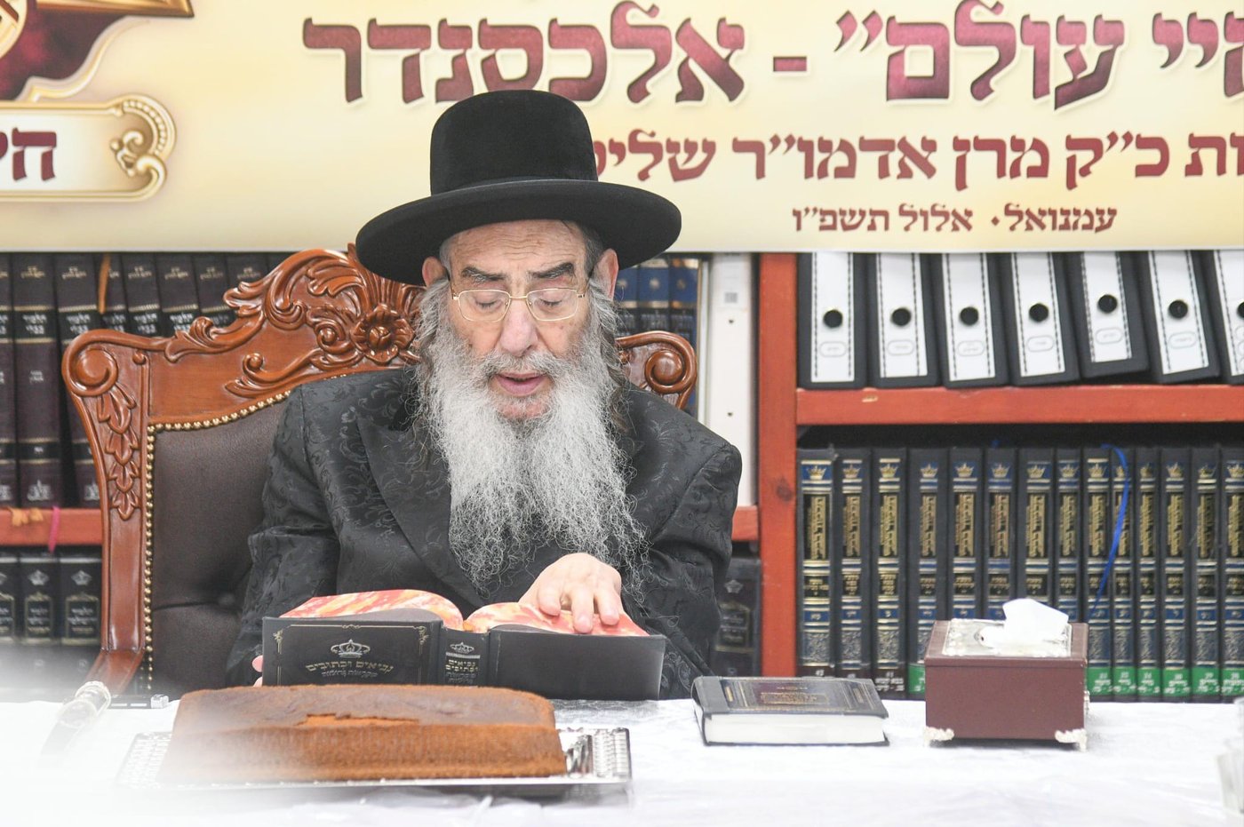 האדמו"ר מאלכסנדר בעמונאל