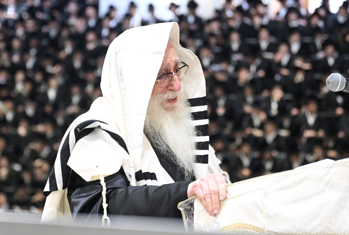 סליחות ראשונות בחצה"ק צאנז