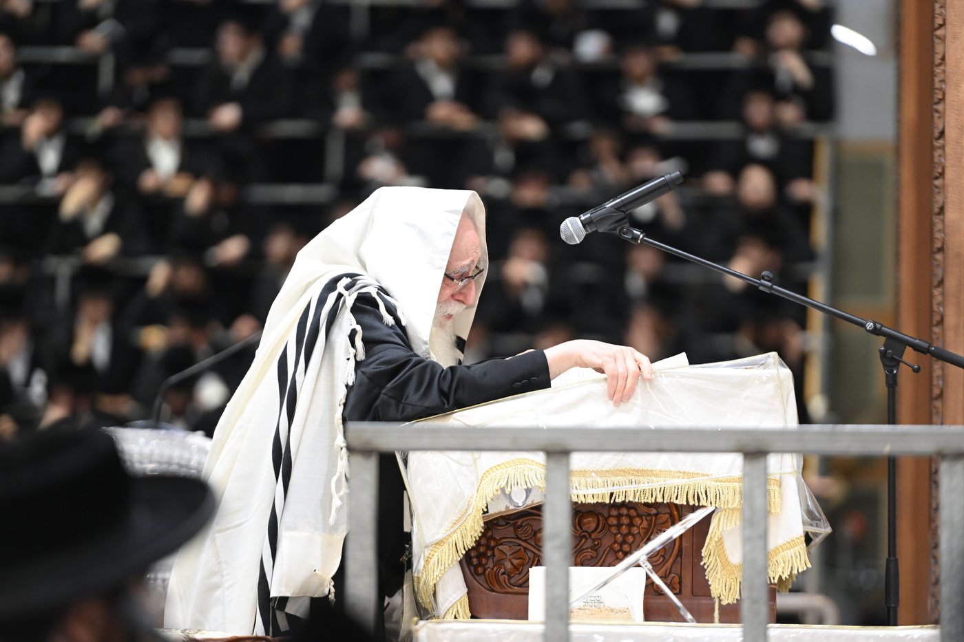 סליחות ראשונות בחצה"ק צאנז