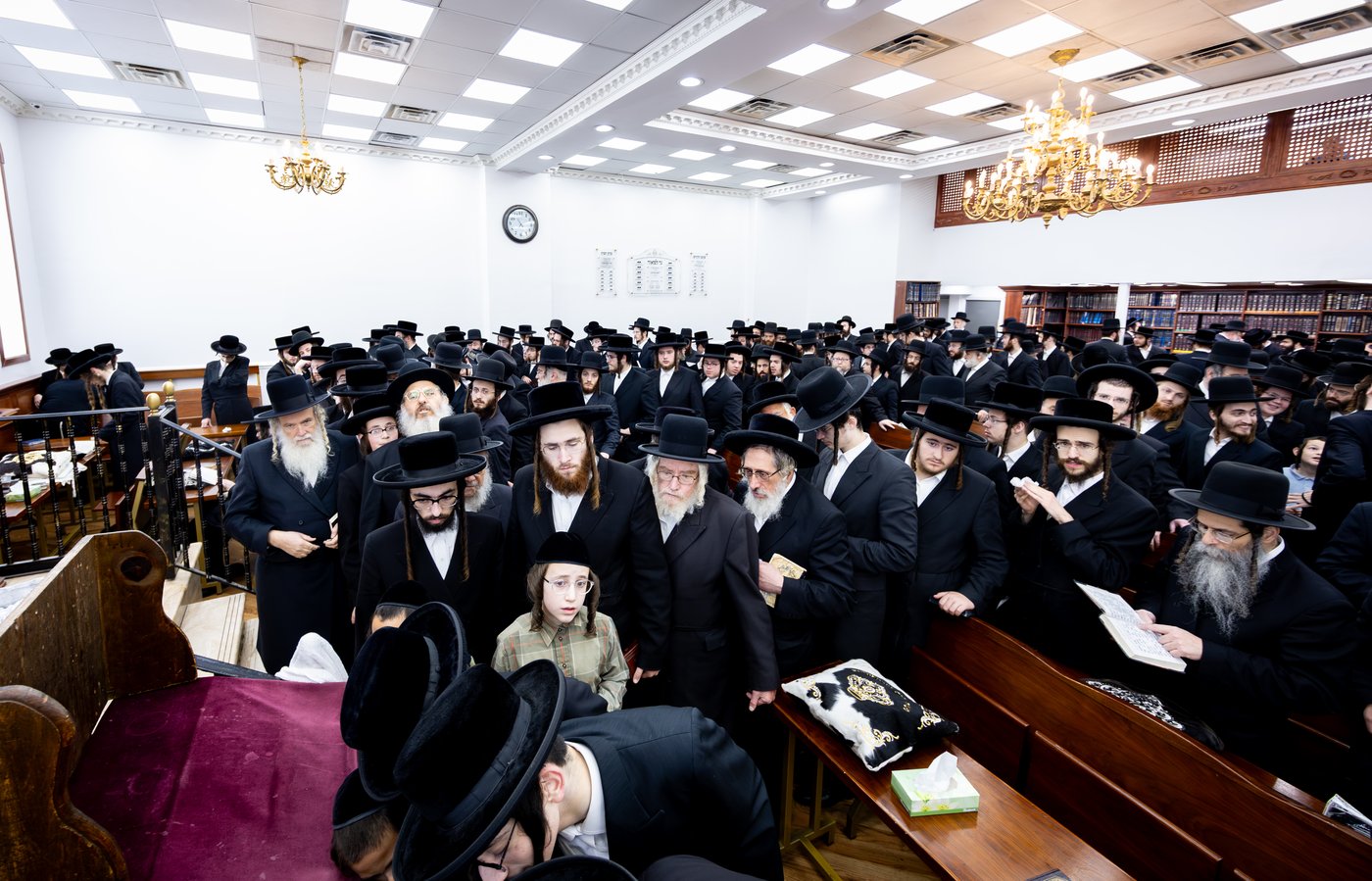 סליחות ראשונות בחצ"ק תולדות צבי ד'ספינקא