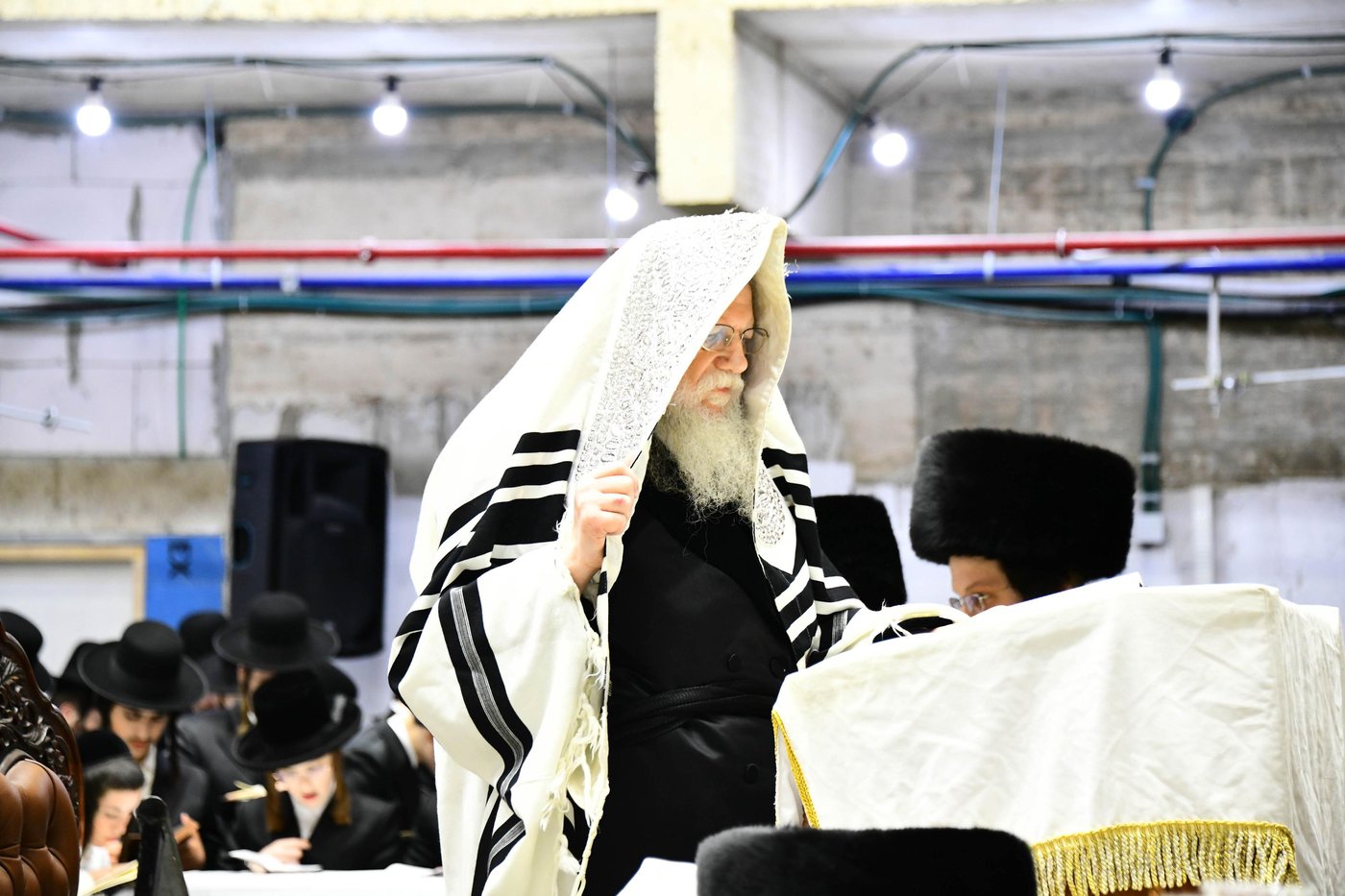 סליחות ראשונות בחצה"ק מודז'יץ