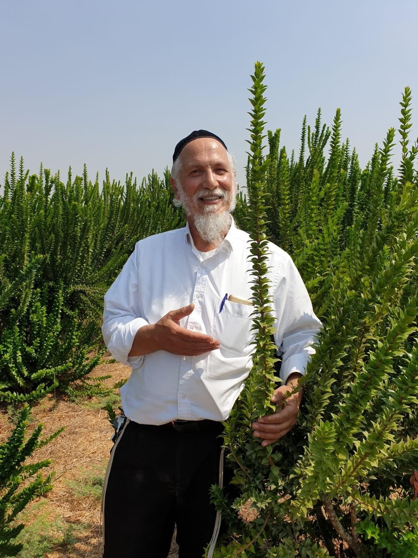 הרב אקטא עם ההדסים