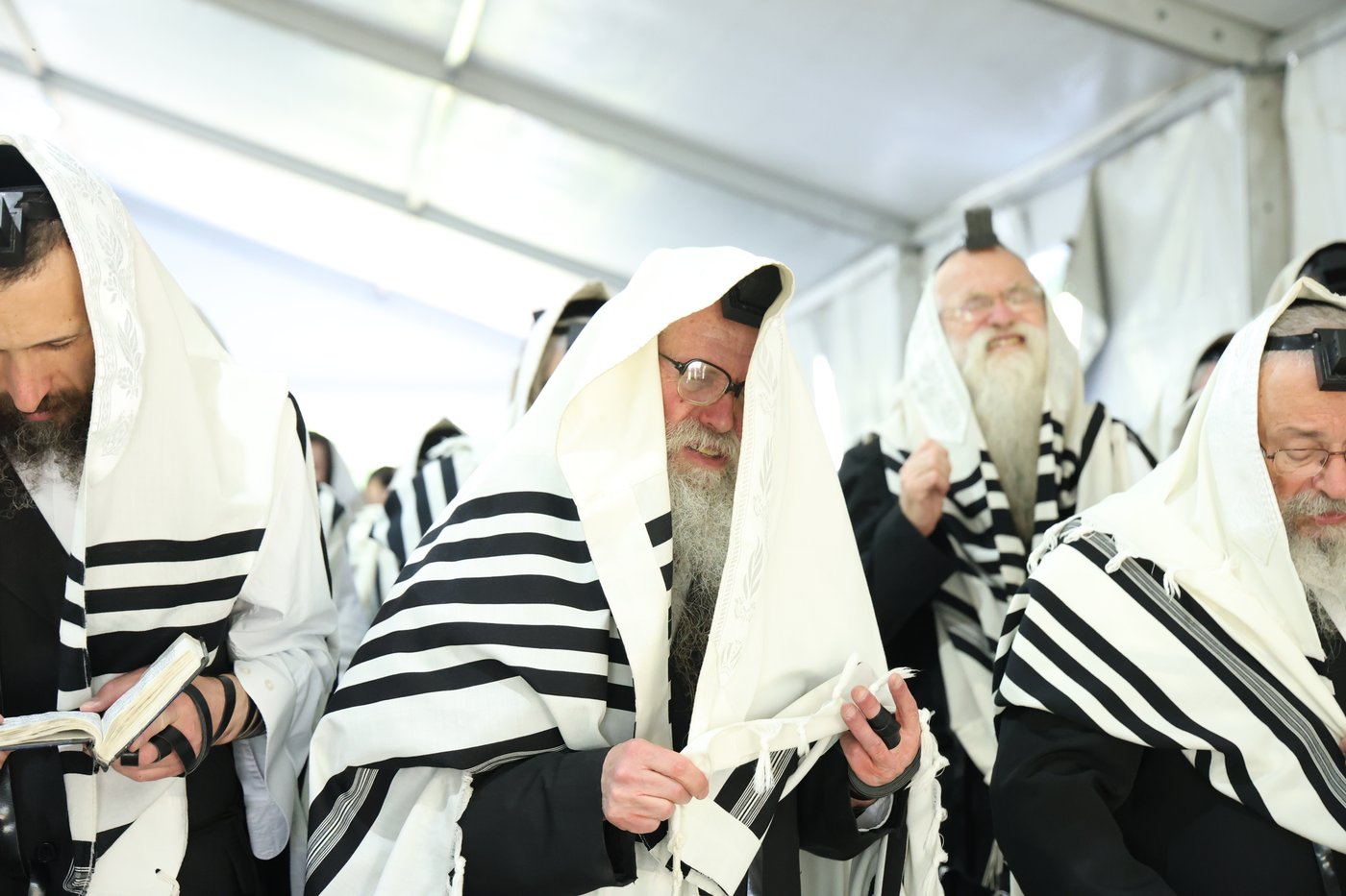 האדמו"ר מדושינסקיא בחברון