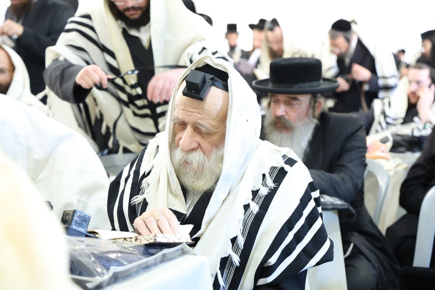 האדמו"ר מדושינסקיא בחברון
