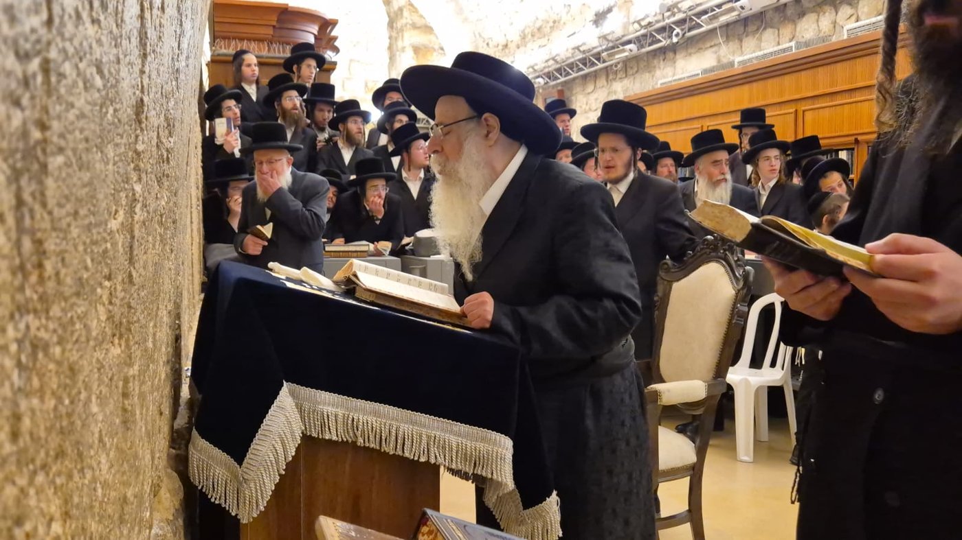 האדמו"ר מצאנז קלויזנבורג שליט"א בתפילה בכותל המערבי | צילום: באדיבות המצלם