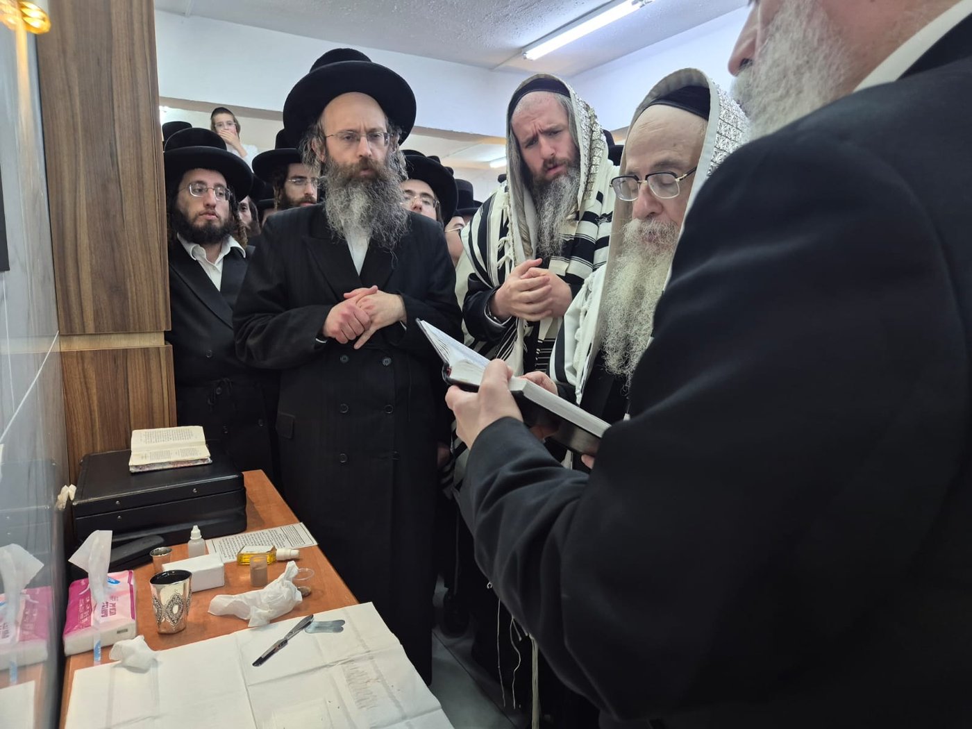האדמו"ר מצאנז קלויזנבורג שליט"א בביקורו בארץ הקודש | צילום: באדיבות המצלם