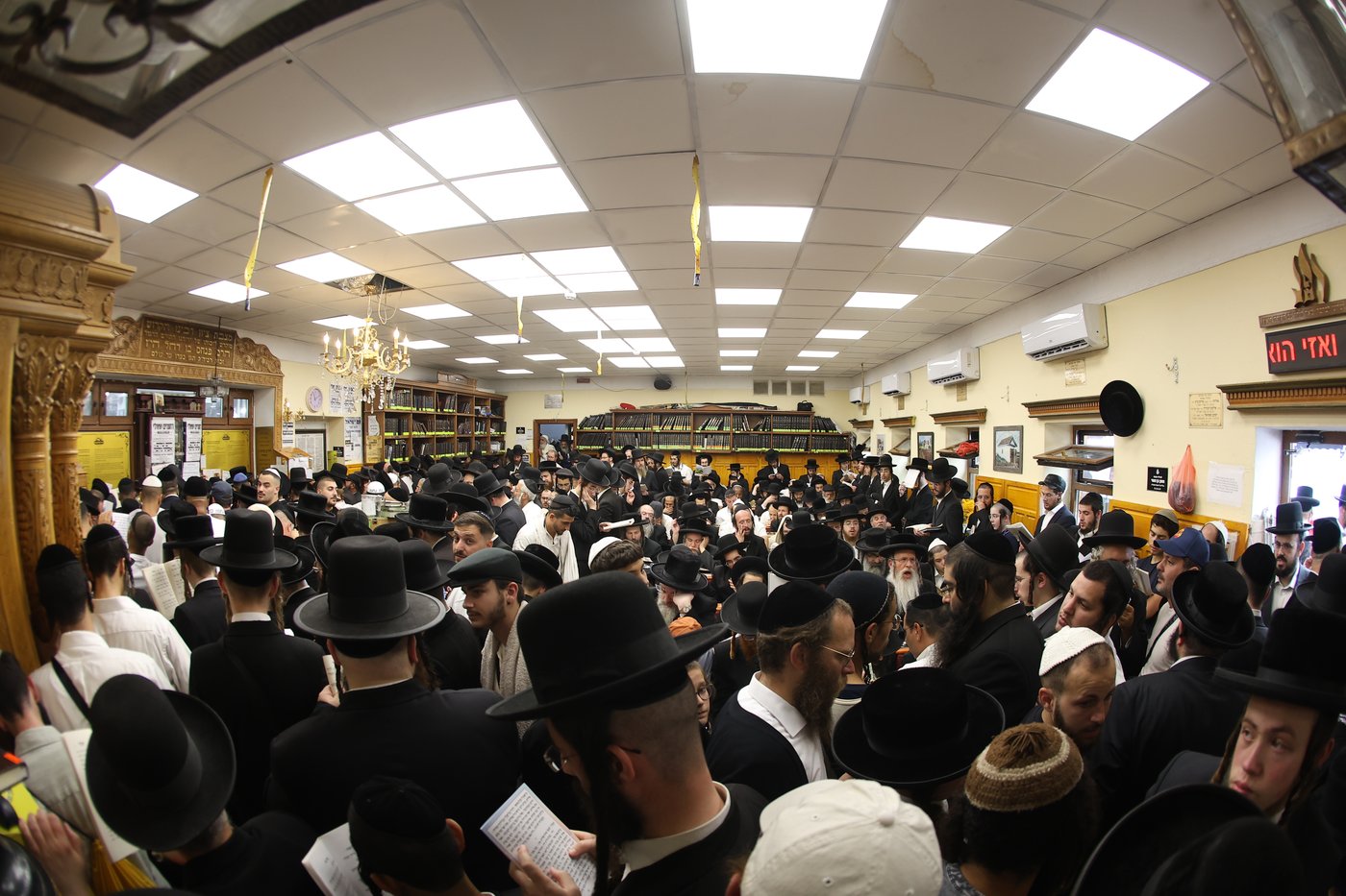 אומן ראש השנה תשפ"ז | צילום: יהודה וייס
