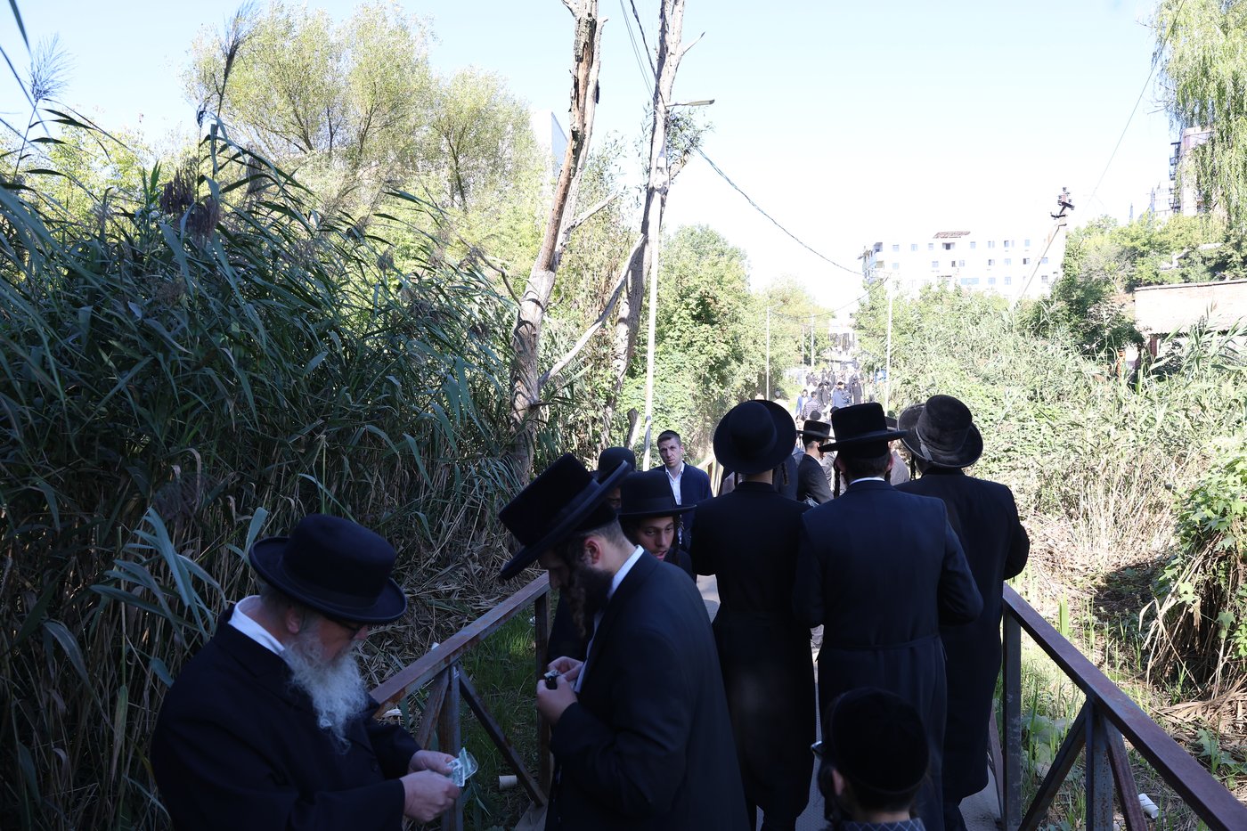 אומן ראש השנה תשפ"ז | צילום: יהודה וייס
