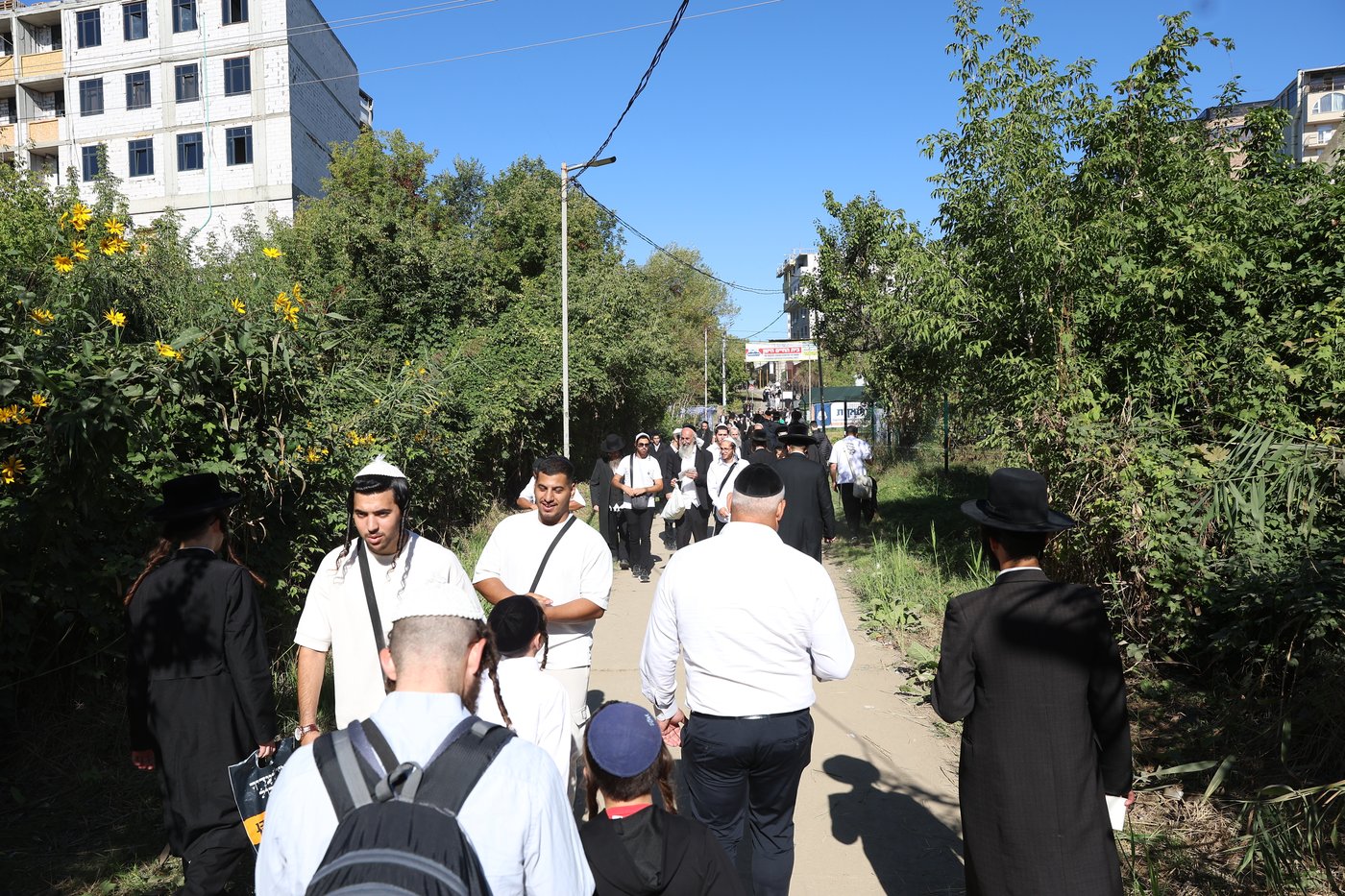 אומן ראש השנה תשפ"ז | צילום: יהודה וייס