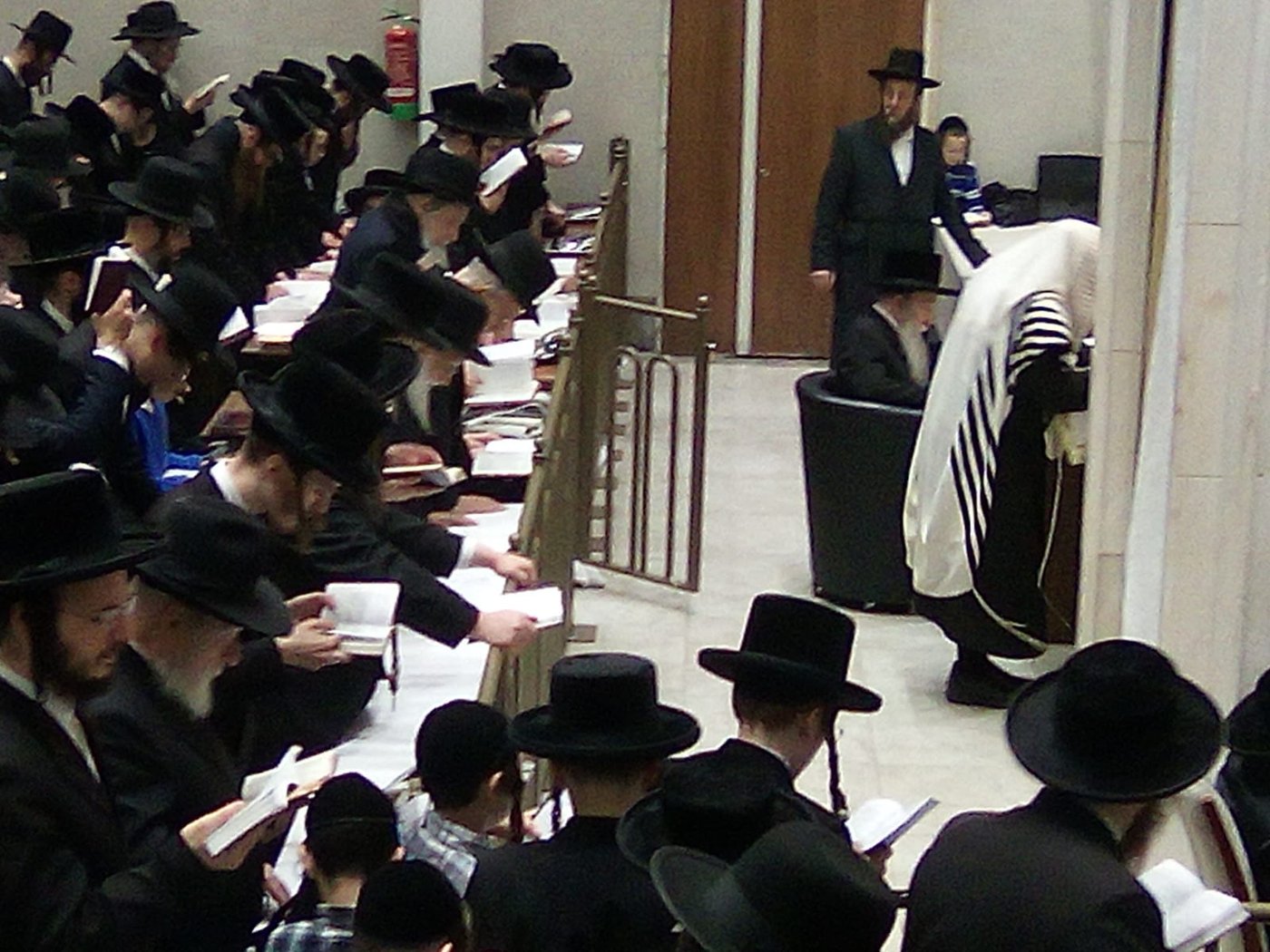 האדמו"ר מפשעווארסק שליט"א בסליחות 'זכור ברית' | צילום: באדיבות המצלם
