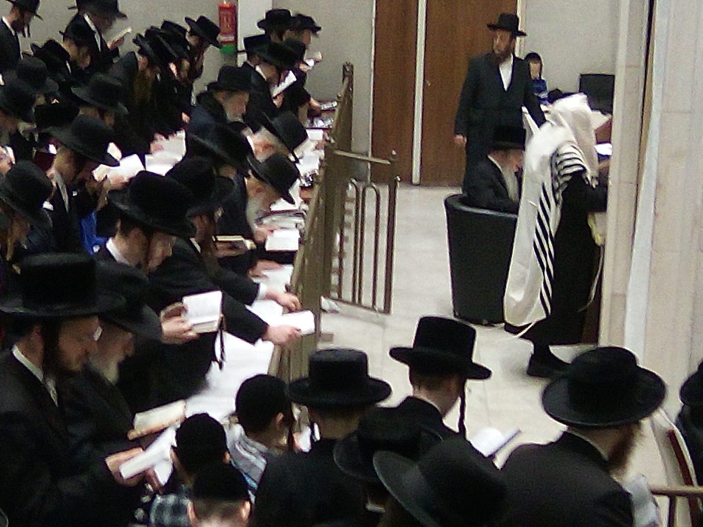 האדמו"ר מפשעווארסק שליט"א בסליחות 'זכור ברית' | צילום: באדיבות המצלם