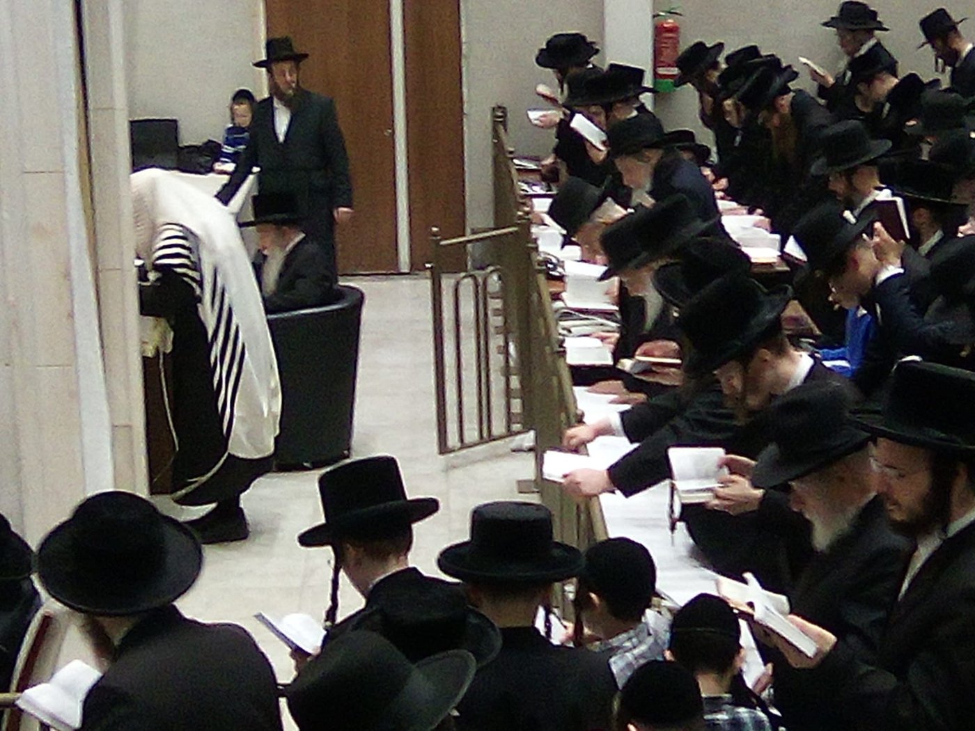 האדמו"ר מפשעווארסק שליט"א בסליחות 'זכור ברית' | צילום: באדיבות המצלם
