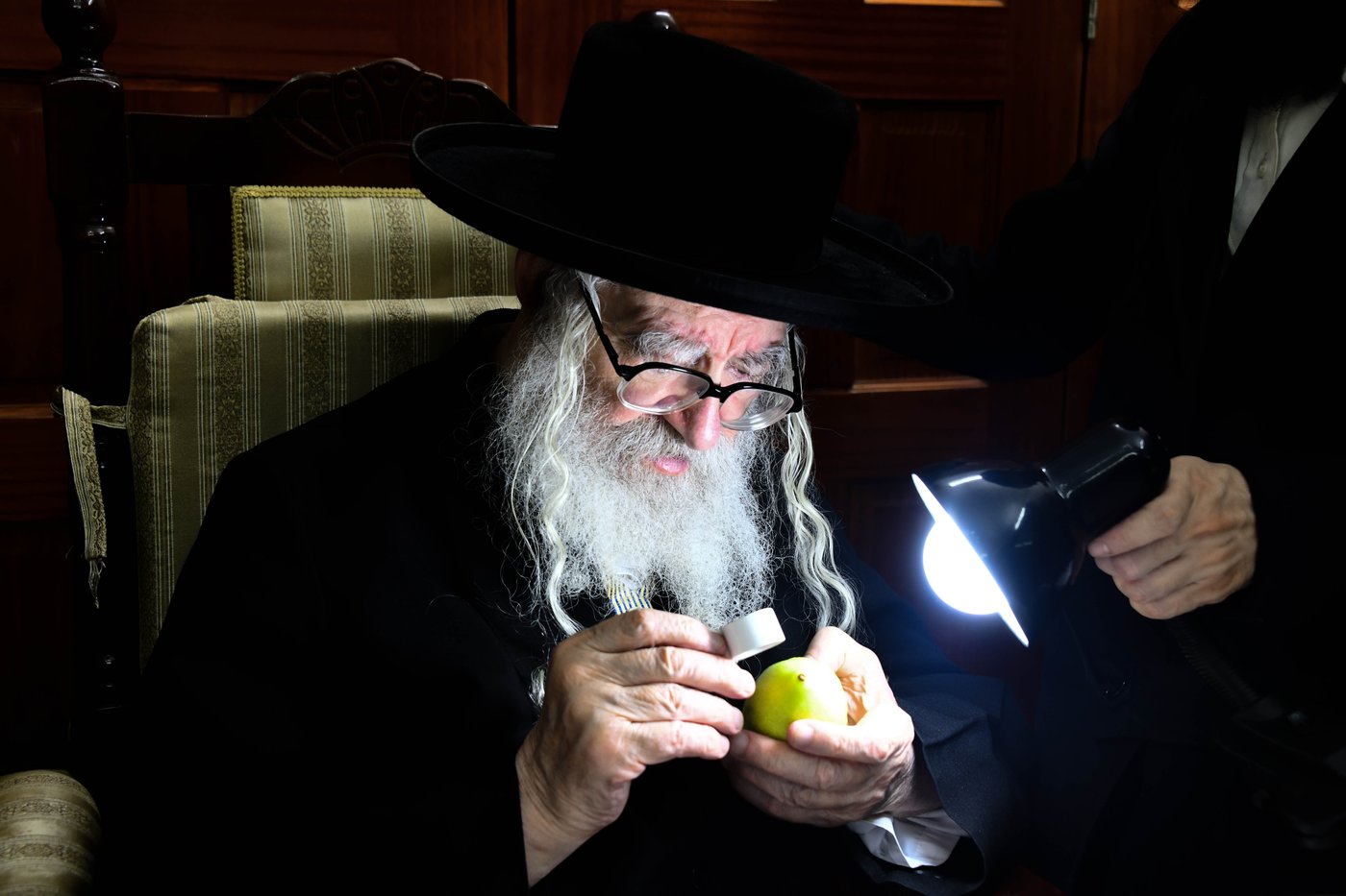 גדולי ישראל בבחירת אתרוגים לקראת חג הסוכות | צילום: שוקי לרר