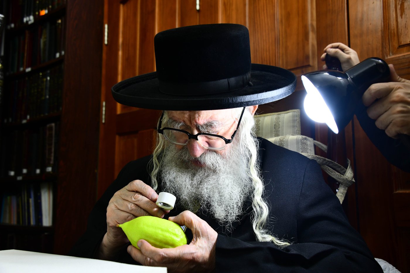 גדולי ישראל בבחירת אתרוגים לקראת חג הסוכות | צילום: שוקי לרר