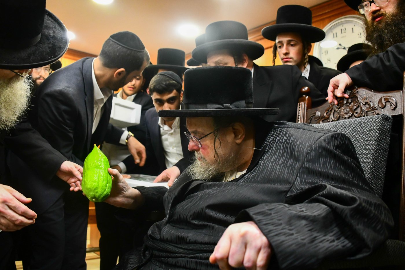 כבוד קדושת האדמו"ר מבעלזא שליט"א בבחירת אתרוגים לקראת חג הסוכות | צילום: שוקי לרר