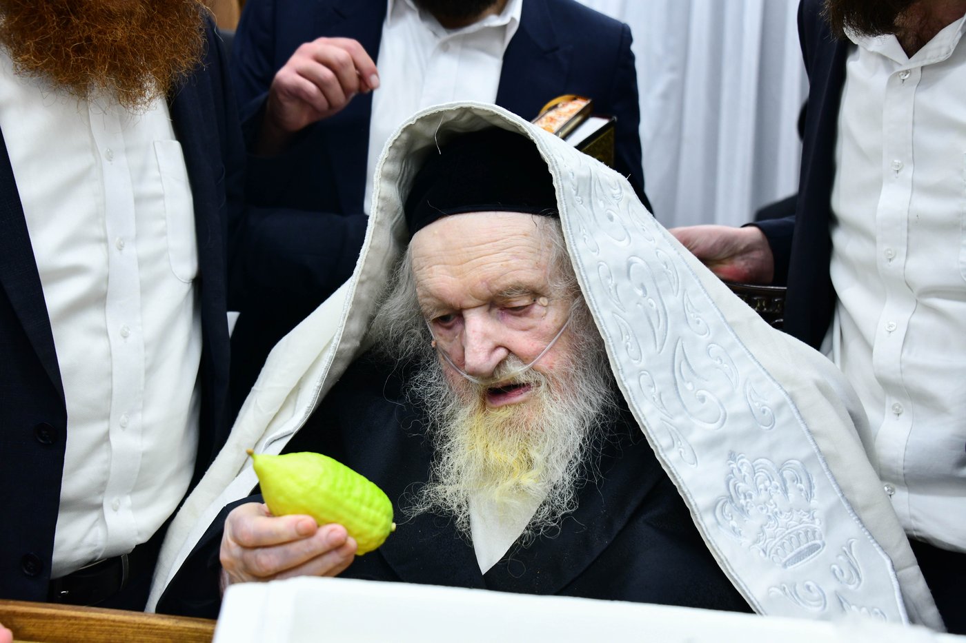 הגאון הרב משה שטרנבוך שליט"א בבחירת אתרוגים לקראת חג הסוכות | צילום: שוקי לרר