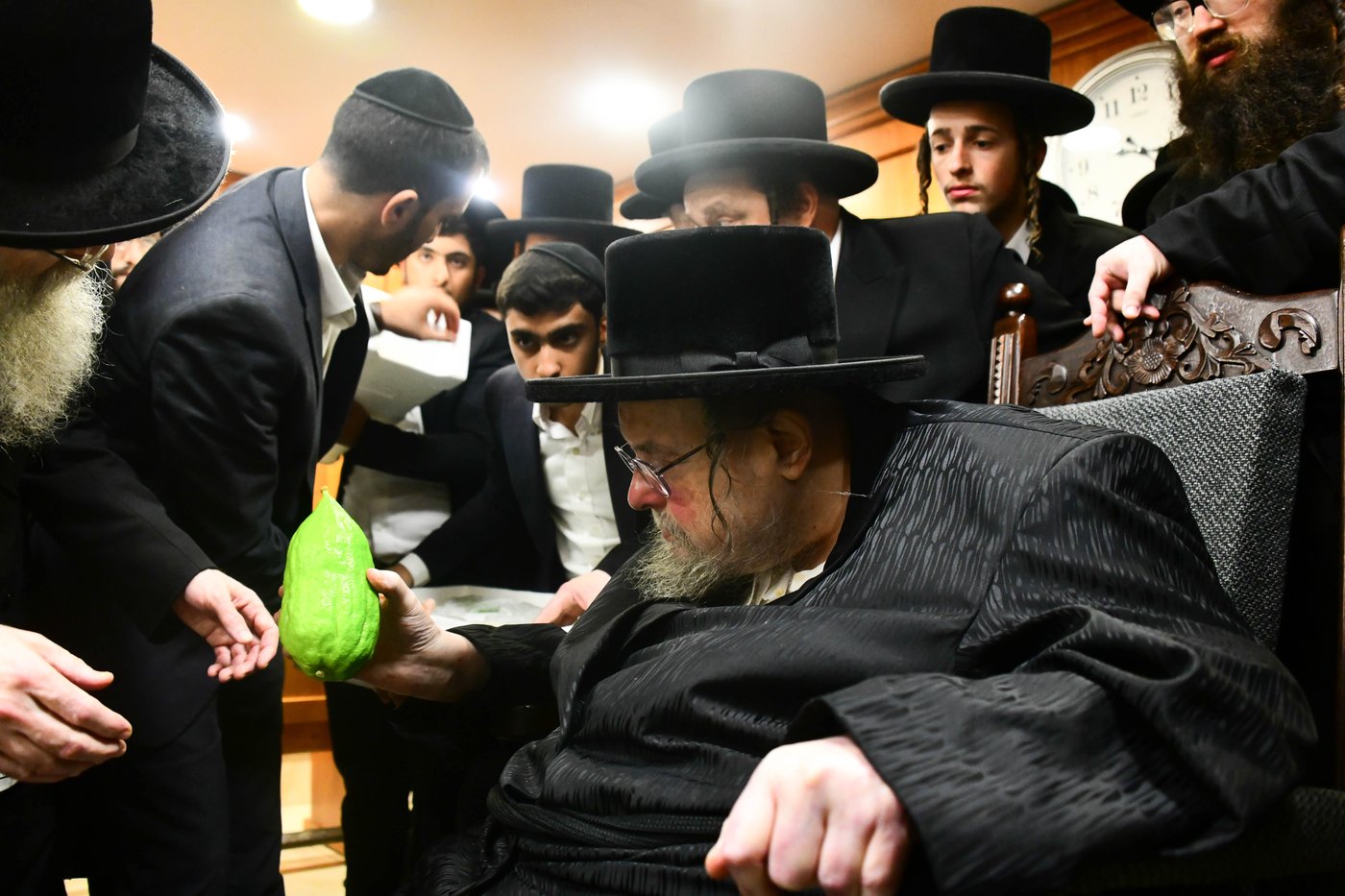 כבוד קדושת האדמו"ר מבעלזא שליט"א בבחירת אתרוגים לקראת חג הסוכות | צילום: שוקי לרר