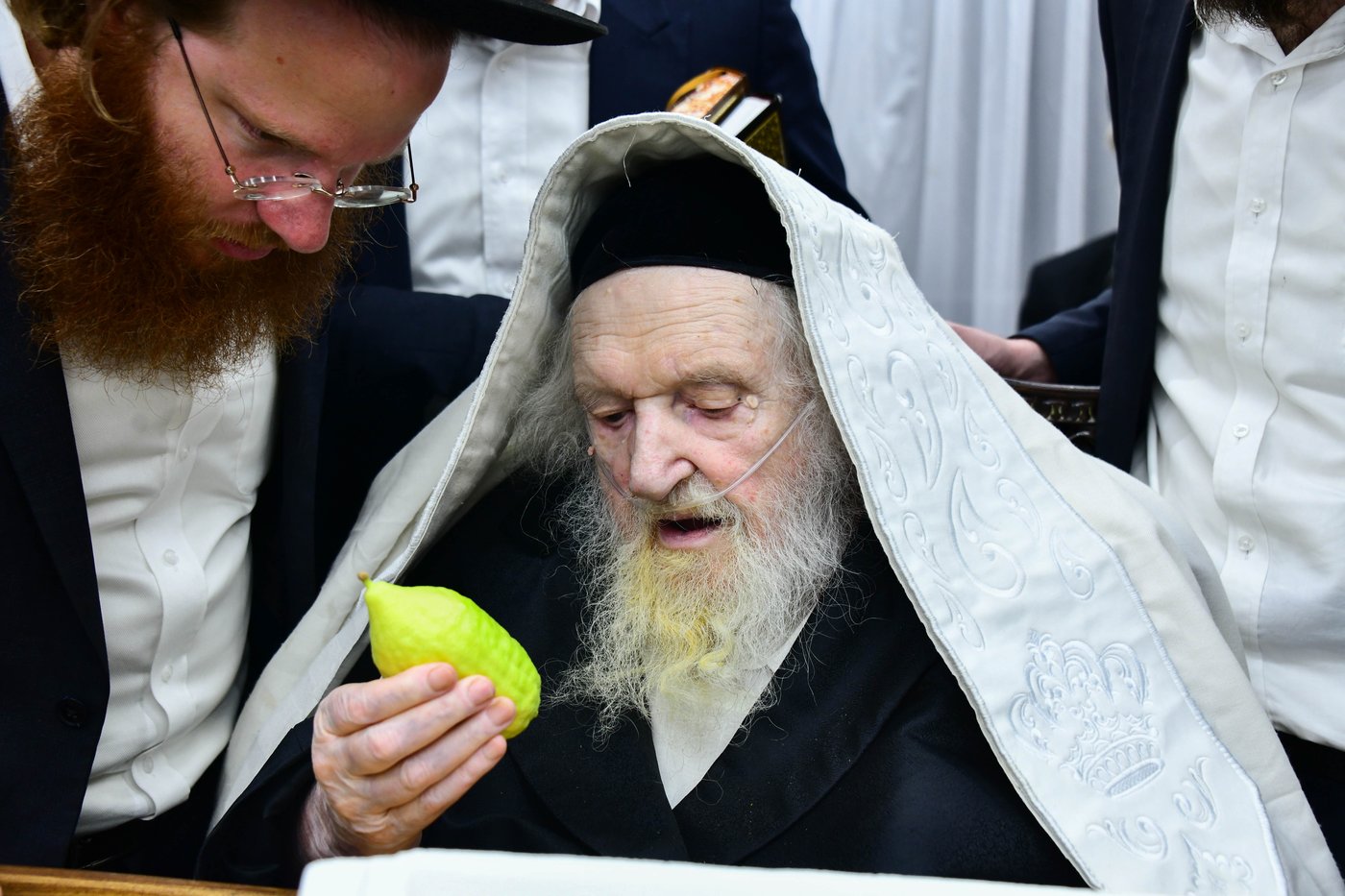 גדולי ישראל בבחירת אתרוגים לקראת חג הסוכות | צילום: שוקי לרר