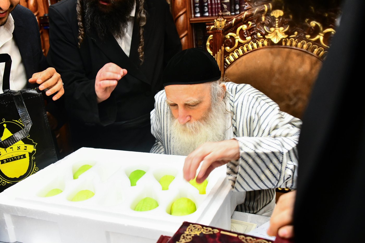 כבוד קדושת האדמו"ר מתורת חכם שליט"א בבחירת אתרוגים לקראת חג הסוכות | צילום: שוקי לרר