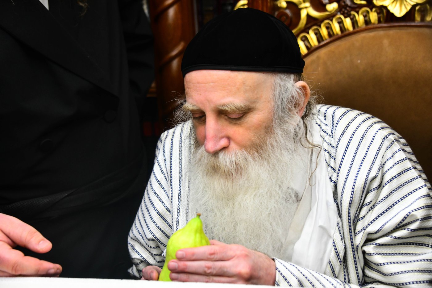 גדולי ישראל בבחירת אתרוגים לקראת חג הסוכות | צילום: שוקי לרר