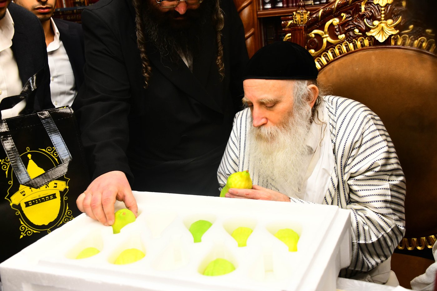 גדולי ישראל בבחירת אתרוגים לקראת חג הסוכות | צילום: שוקי לרר