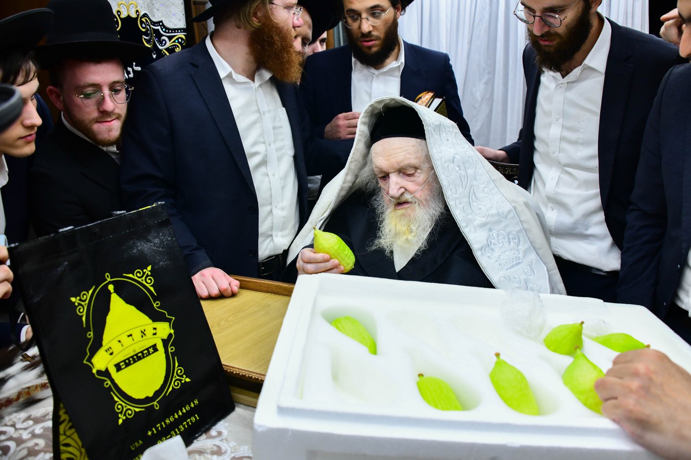 הגאון הרב משה שטרנבוך שליט"א בבחירת אתרוגים לקראת חג הסוכות | צילום: שוקי לרר