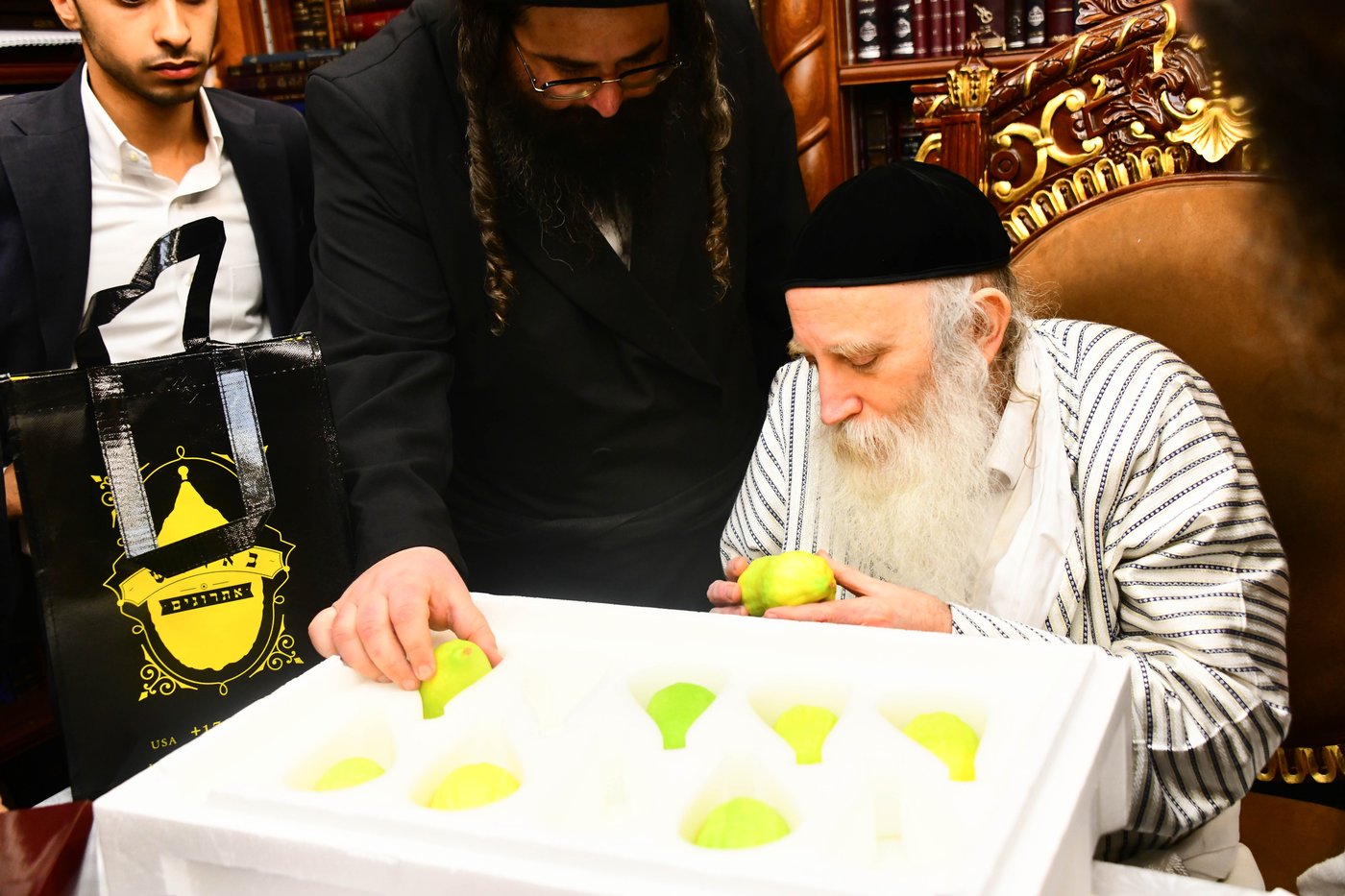 גדולי ישראל בבחירת אתרוגים לקראת חג הסוכות | צילום: שוקי לרר