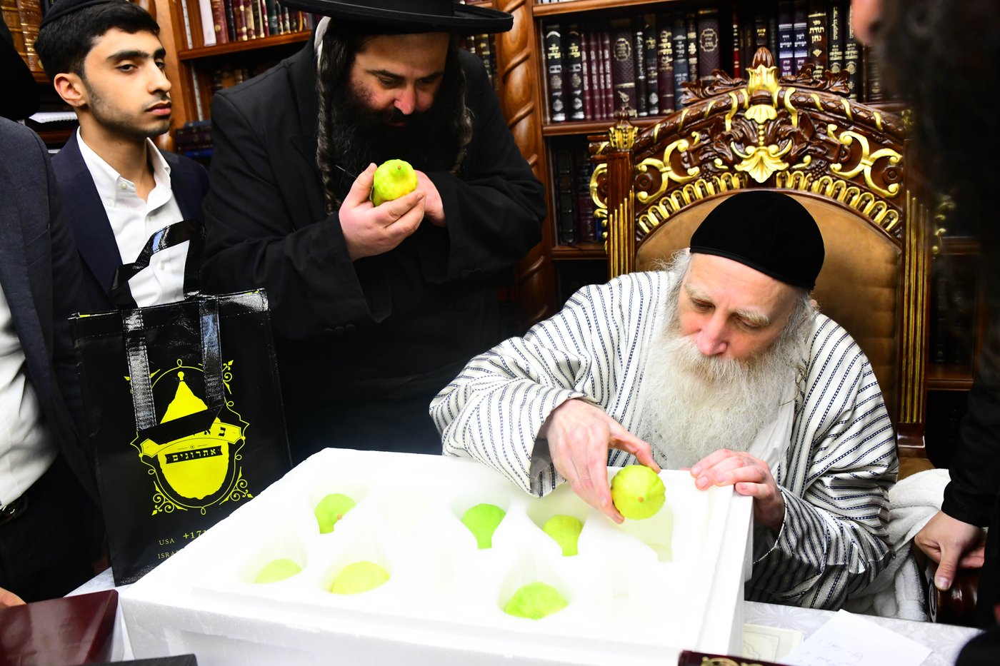 גדולי ישראל בבחירת אתרוגים לקראת חג הסוכות | צילום: שוקי לרר