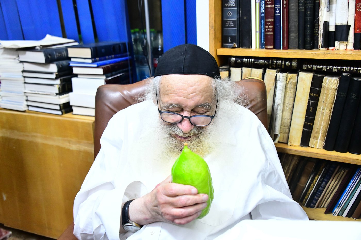 גדולי ישראל בבחירת אתרוגים לקראת חג הסוכות | צילום: שוקי לרר