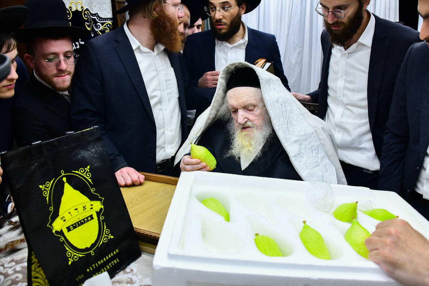 גדולי ישראל בבחירת אתרוגים לקראת חג הסוכות | צילום: שוקי לרר