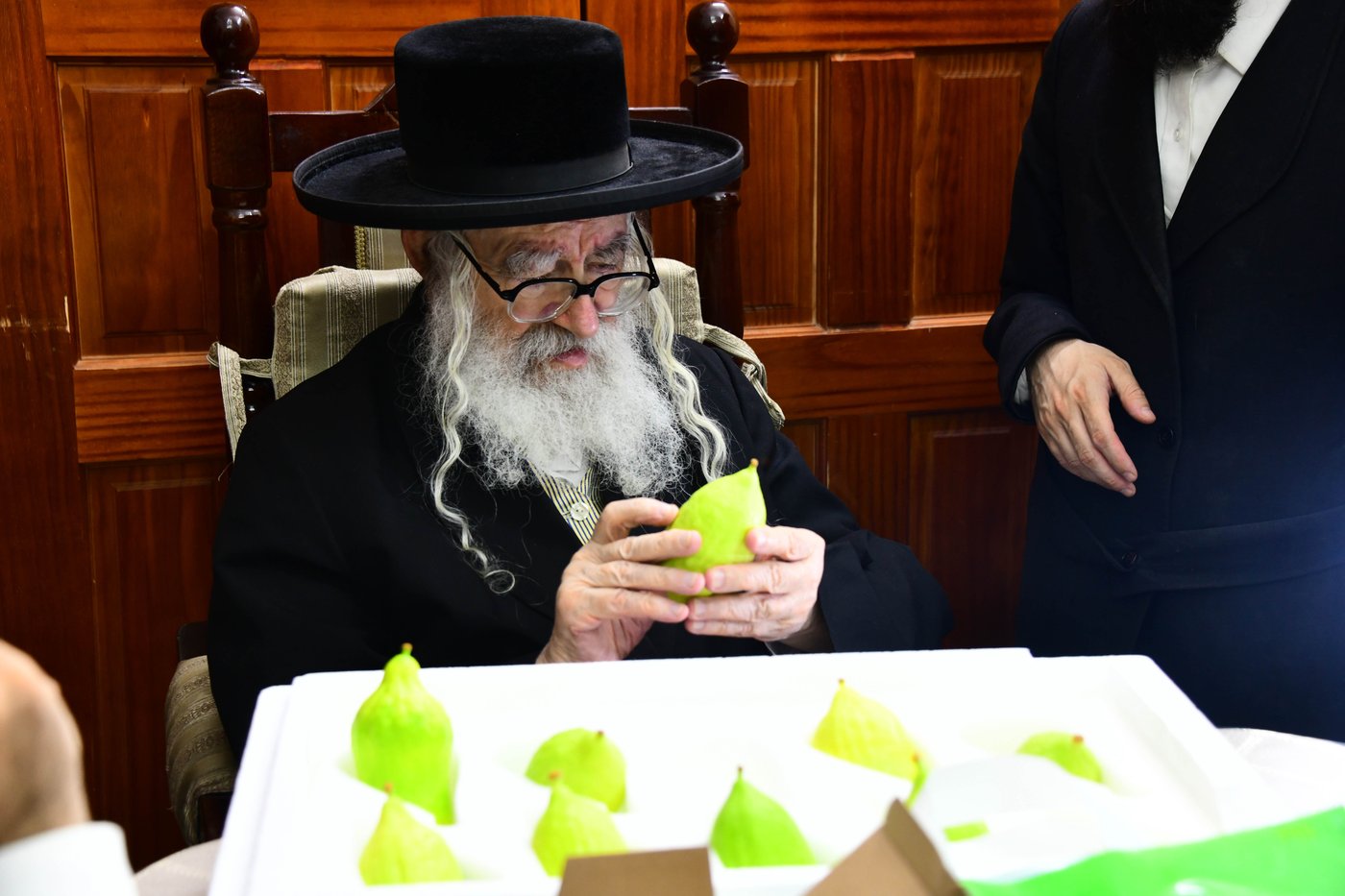 גדולי ישראל בבחירת אתרוגים לקראת חג הסוכות | צילום: שוקי לרר