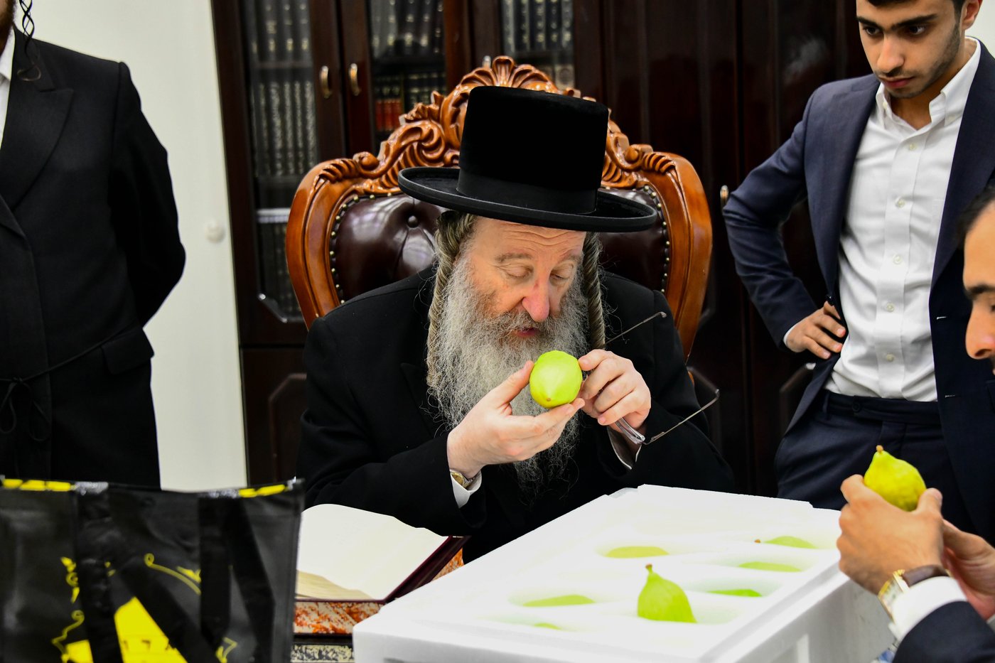 כבוד קדושת האדמו"ר מביאלה שליט"א בבחירת אתרוגים לקראת חג הסוכות | צילום: שוקי לרר